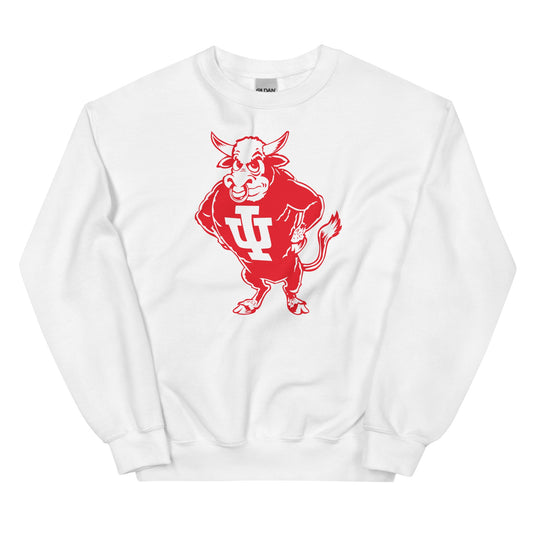 Vintage Indiana Sweatshirt - 1960's Bison Art Sweatshirt - rivalryweek